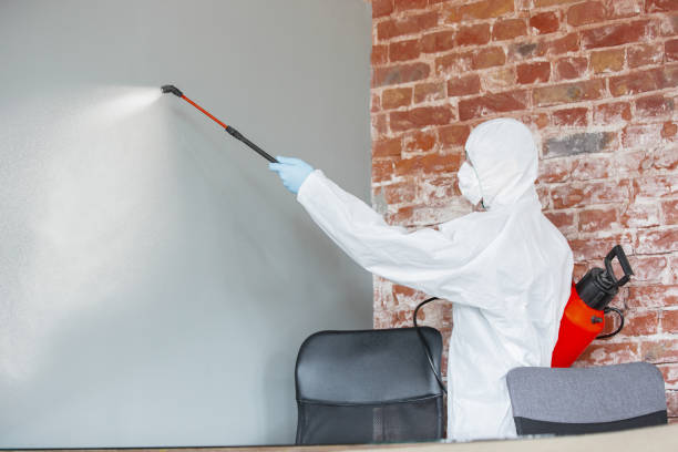 Best Biohazard Mold Removal  in Hart, MI