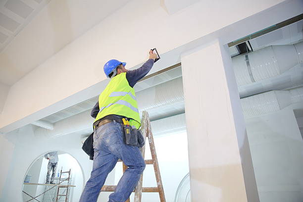 Hart, MI Mold Removal Company